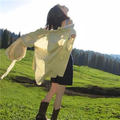 风云维新大将军